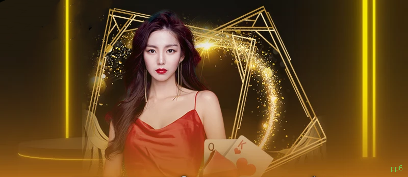 Termos e Condições